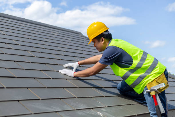Best Roof Maintenance Services  in Palmyra, WI