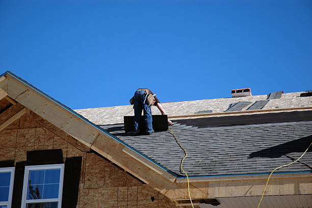 Best Roof Gutter Cleaning  in Palmyra, WI