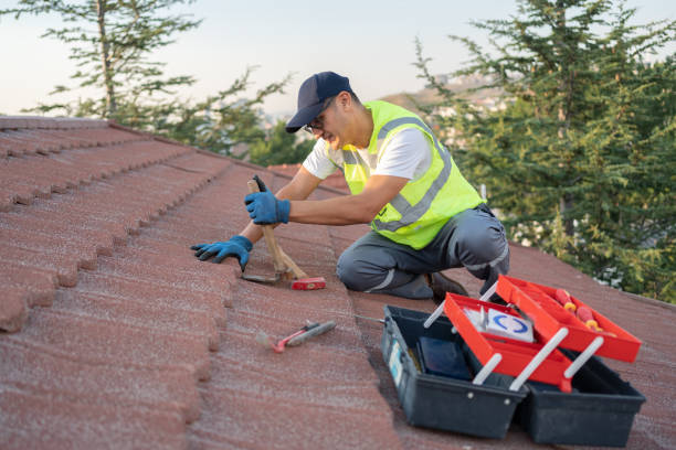 Best Flat Roof Repair Services  in Palmyra, WI