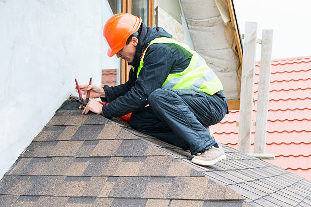 Best Commercial Roofing Services  in Palmyra, WI